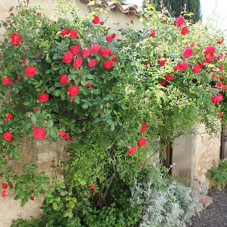 La Maison Du Potier * Puimoisson